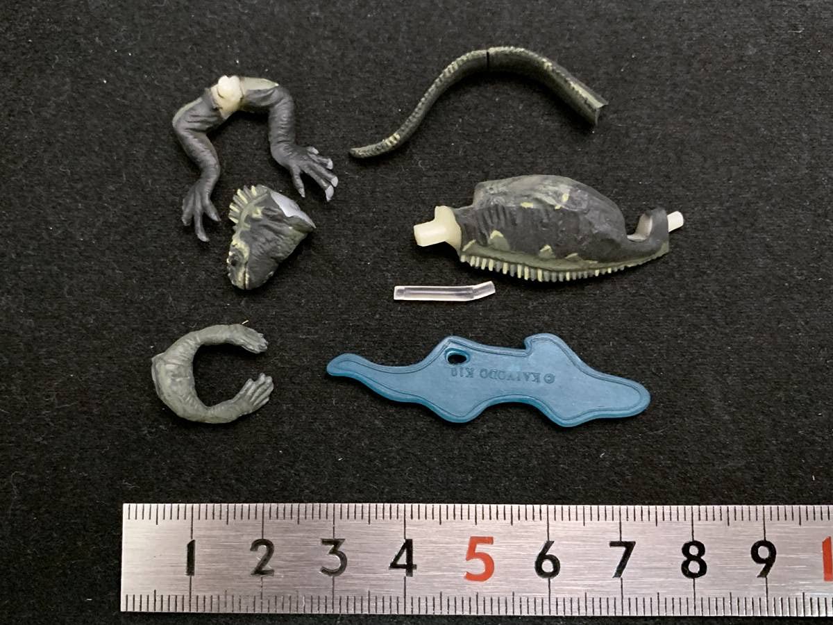 Amazon | 海洋堂チョコQ アニマテイルズ どうぶつ奇想天外!編 K10